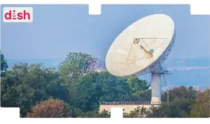 dish