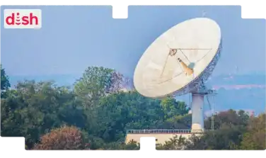 dish
